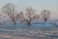076_Biebrza - marzec 2013
